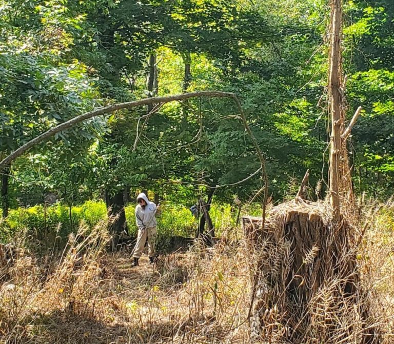 An americorp member in the woods