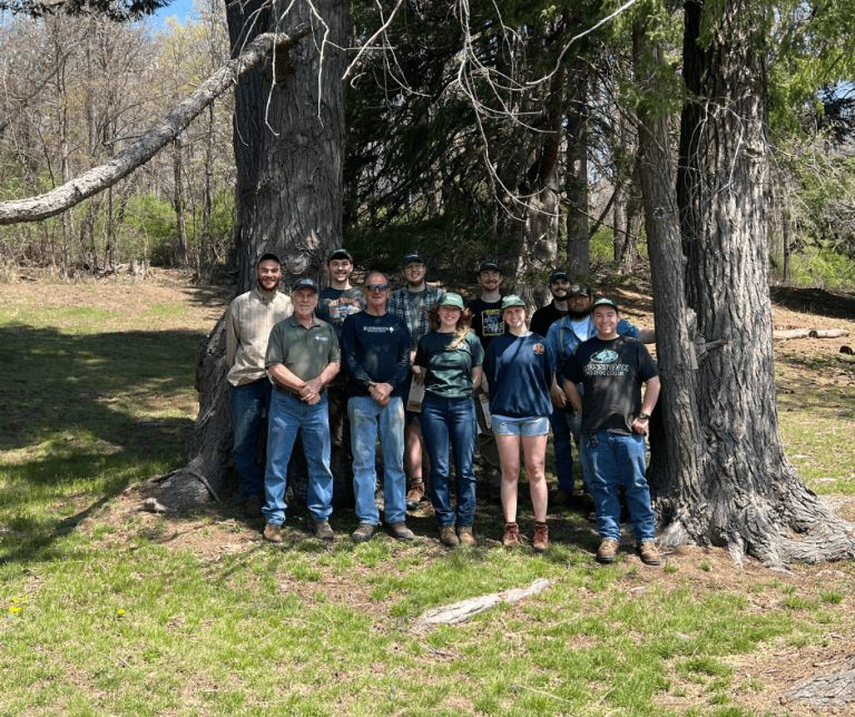 Real World Forestry participants posing for a photo between two large trees