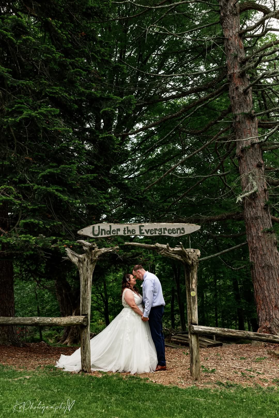 Couple kissing under a rustic wooden arbor with a sign reading 'Under the Evergreens' in a pine forest.