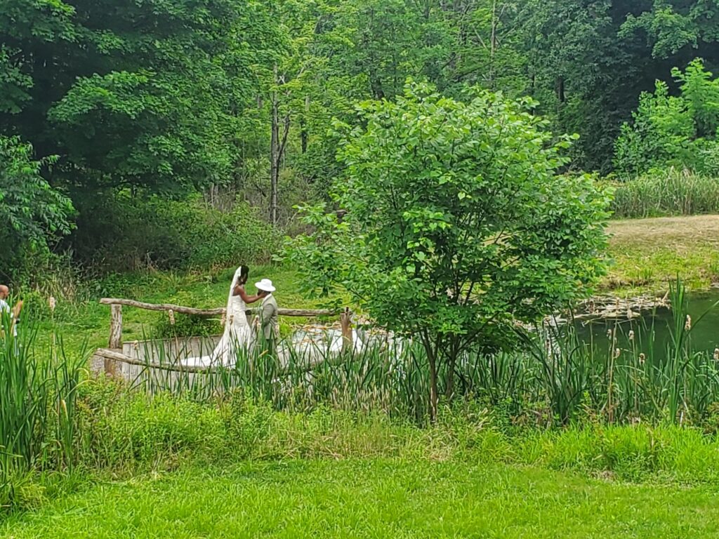 Bride in a white gown and groom in a white hat standing together at a wooden fence beside a pond surrounded by cattails and greenery.